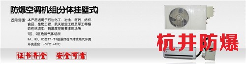 四川眉山防爆空调生产厂家-多多28